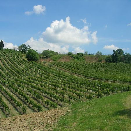 Agriturismo Gaggioli Borgo Delle Vigne Zola Predosa Zewnętrze zdjęcie