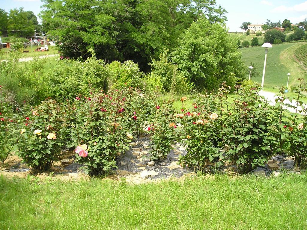 Agriturismo Gaggioli Borgo Delle Vigne Zola Predosa Zewnętrze zdjęcie