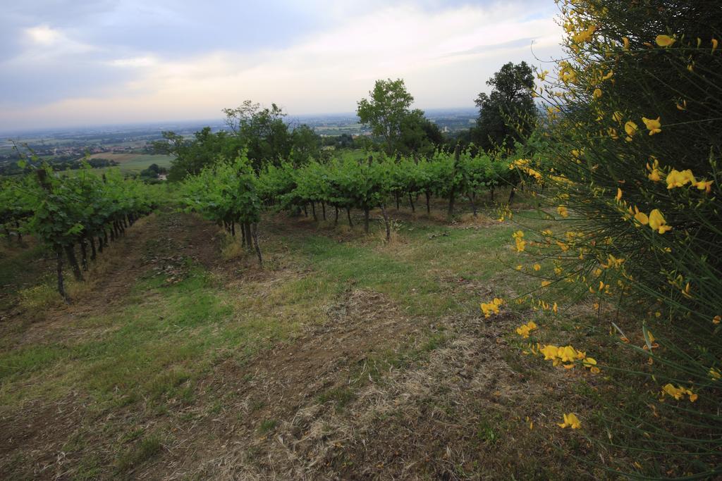 Agriturismo Gaggioli Borgo Delle Vigne Zola Predosa Zewnętrze zdjęcie