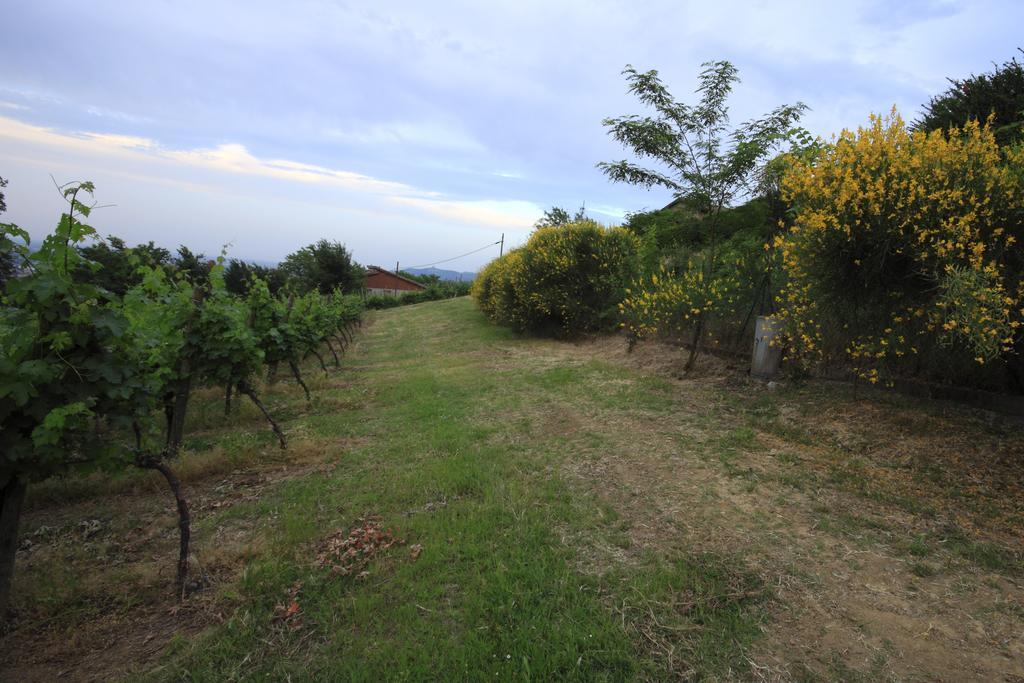 Agriturismo Gaggioli Borgo Delle Vigne Zola Predosa Zewnętrze zdjęcie